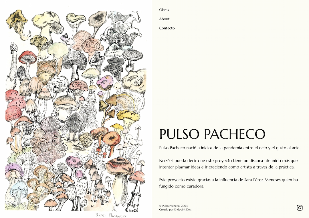 Pulso Pacheco - Image 1