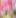 Sudor - Image 1