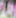 Sudor - Image 3